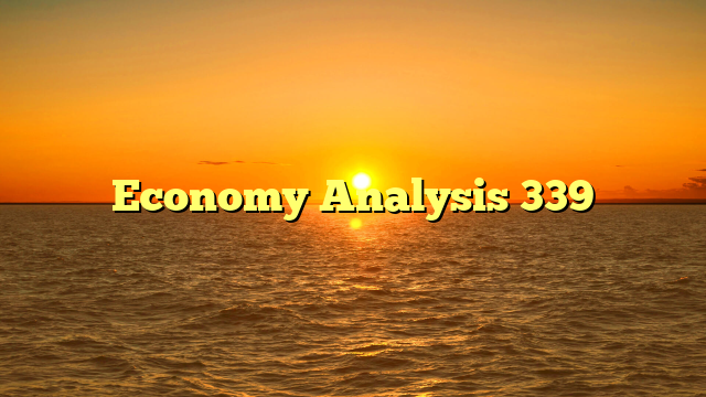Economy Analysis 339