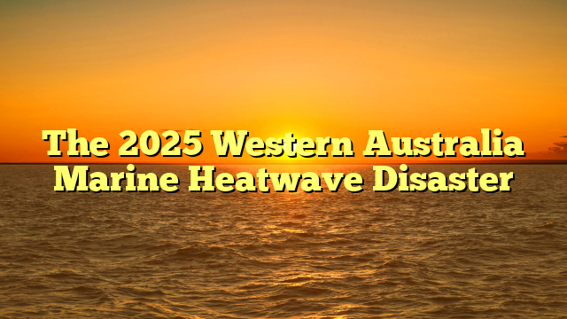 The 2025 Western Australia Marine Heatwave Disaster
